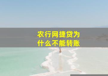 农行网捷贷为什么不能转账