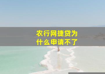 农行网捷贷为什么申请不了