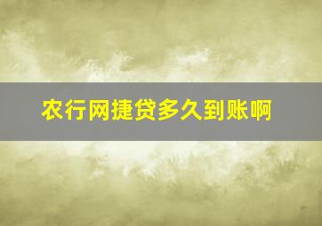 农行网捷贷多久到账啊