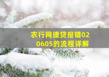 农行网捷贷报错020605的流程详解