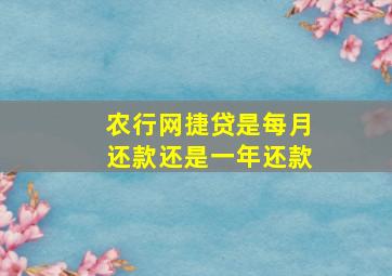 农行网捷贷是每月还款还是一年还款