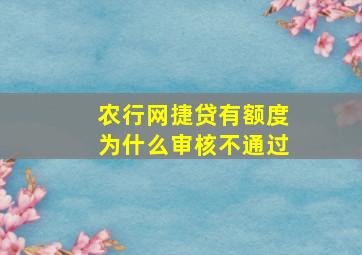 农行网捷贷有额度为什么审核不通过