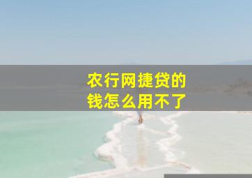 农行网捷贷的钱怎么用不了