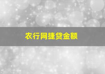 农行网捷贷金额