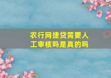 农行网捷贷需要人工审核吗是真的吗