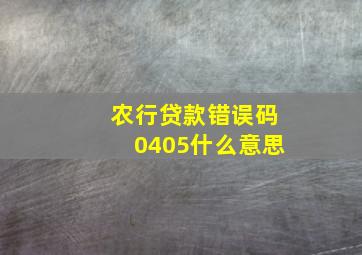 农行贷款错误码0405什么意思