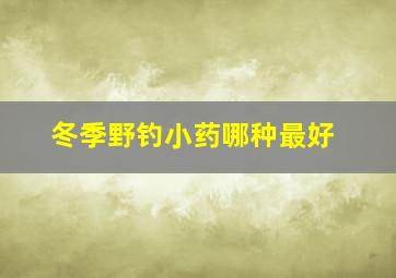 冬季野钓小药哪种最好