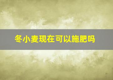 冬小麦现在可以施肥吗