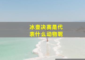 冰壶决赛是代表什么动物呢