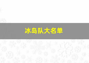 冰岛队大名单