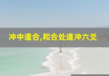 冲中逢合,和合处逢冲六爻