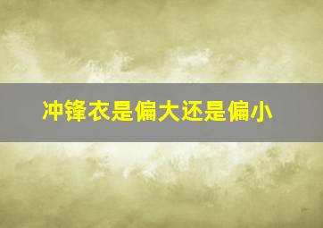 冲锋衣是偏大还是偏小