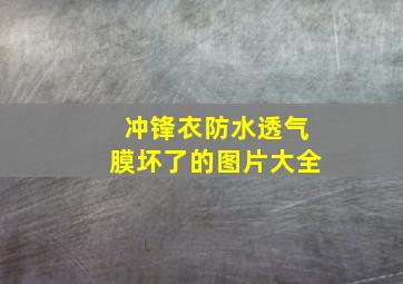 冲锋衣防水透气膜坏了的图片大全