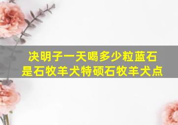 决明子一天喝多少粒蓝石是石牧羊犬特硕石牧羊犬点