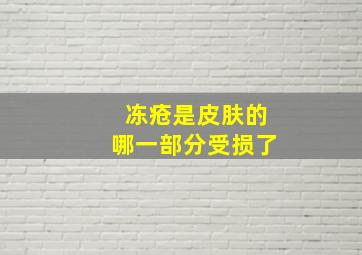 冻疮是皮肤的哪一部分受损了