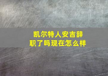 凯尔特人安吉辞职了吗现在怎么样