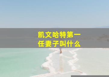 凯文哈特第一任妻子叫什么