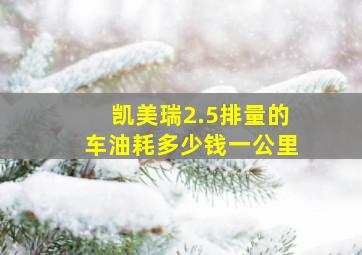 凯美瑞2.5排量的车油耗多少钱一公里