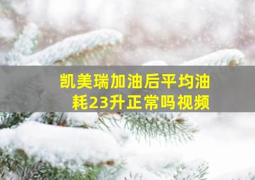 凯美瑞加油后平均油耗23升正常吗视频