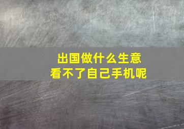 出国做什么生意看不了自己手机呢