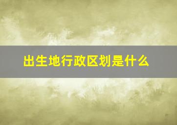 出生地行政区划是什么