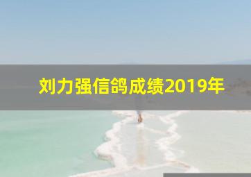 刘力强信鸽成绩2019年