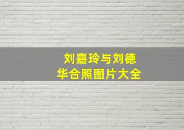 刘嘉玲与刘德华合照图片大全