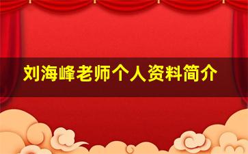 刘海峰老师个人资料简介