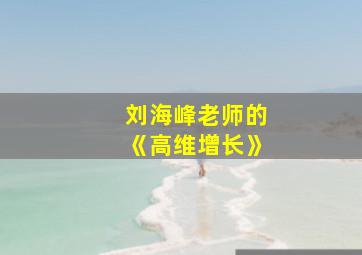 刘海峰老师的《高维增长》