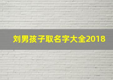 刘男孩子取名字大全2018