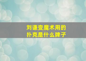 刘谦变魔术用的扑克是什么牌子