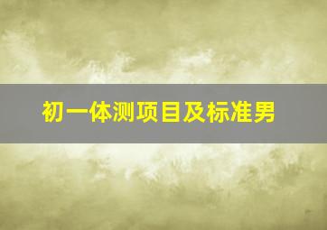 初一体测项目及标准男