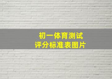 初一体育测试评分标准表图片