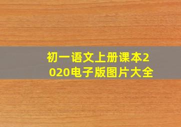 初一语文上册课本2020电子版图片大全