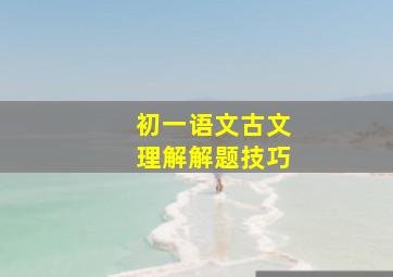 初一语文古文理解解题技巧