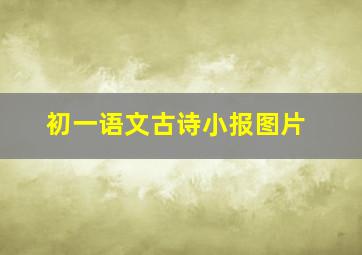 初一语文古诗小报图片