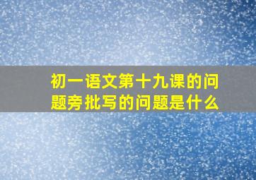 初一语文第十九课的问题旁批写的问题是什么