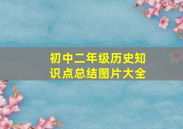 初中二年级历史知识点总结图片大全