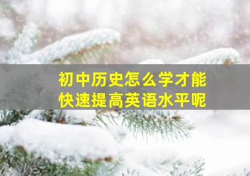 初中历史怎么学才能快速提高英语水平呢