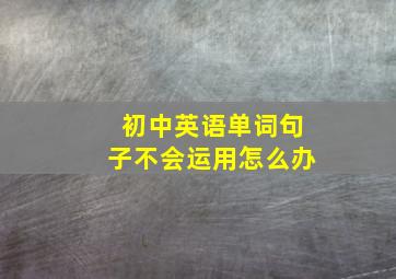 初中英语单词句子不会运用怎么办