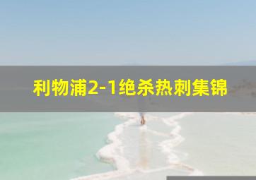 利物浦2-1绝杀热刺集锦