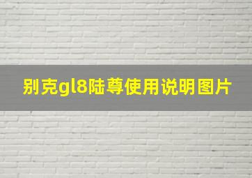 别克gl8陆尊使用说明图片