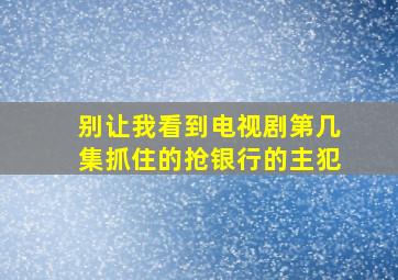 别让我看到电视剧第几集抓住的抢银行的主犯