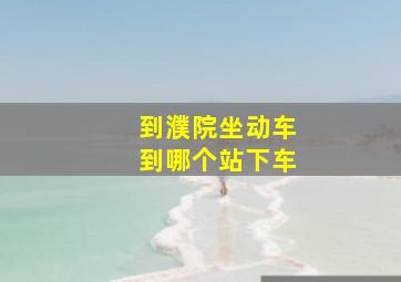 到濮院坐动车到哪个站下车