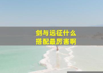 剑与远征什么搭配最厉害啊