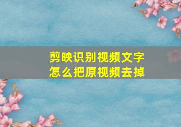 剪映识别视频文字怎么把原视频去掉