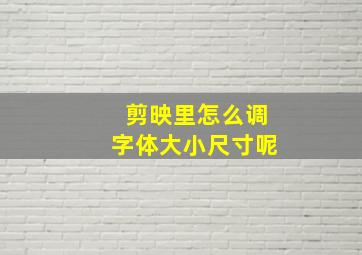 剪映里怎么调字体大小尺寸呢