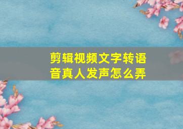 剪辑视频文字转语音真人发声怎么弄