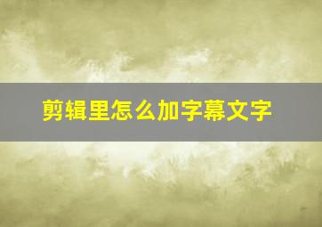 剪辑里怎么加字幕文字