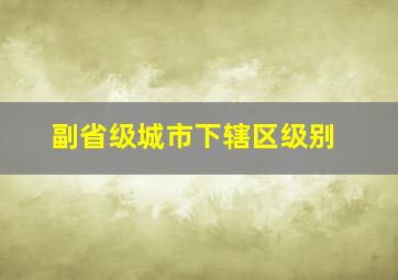 副省级城市下辖区级别